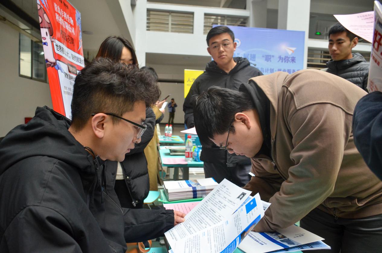筑梦青春·职引未来——我们成功举办 2024届毕业生即墨区秋季专场校园招聘会 筑梦青春·职引未来——我们成功举办 2024届毕业生即墨区秋季专场校园招聘会