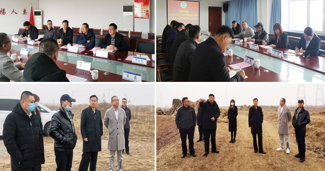 青岛市乡村产业发展促进会窦典梓会长一行应邀来我们调研 青岛市乡村产业发展促进会窦典梓会长一行应邀来我们调研
