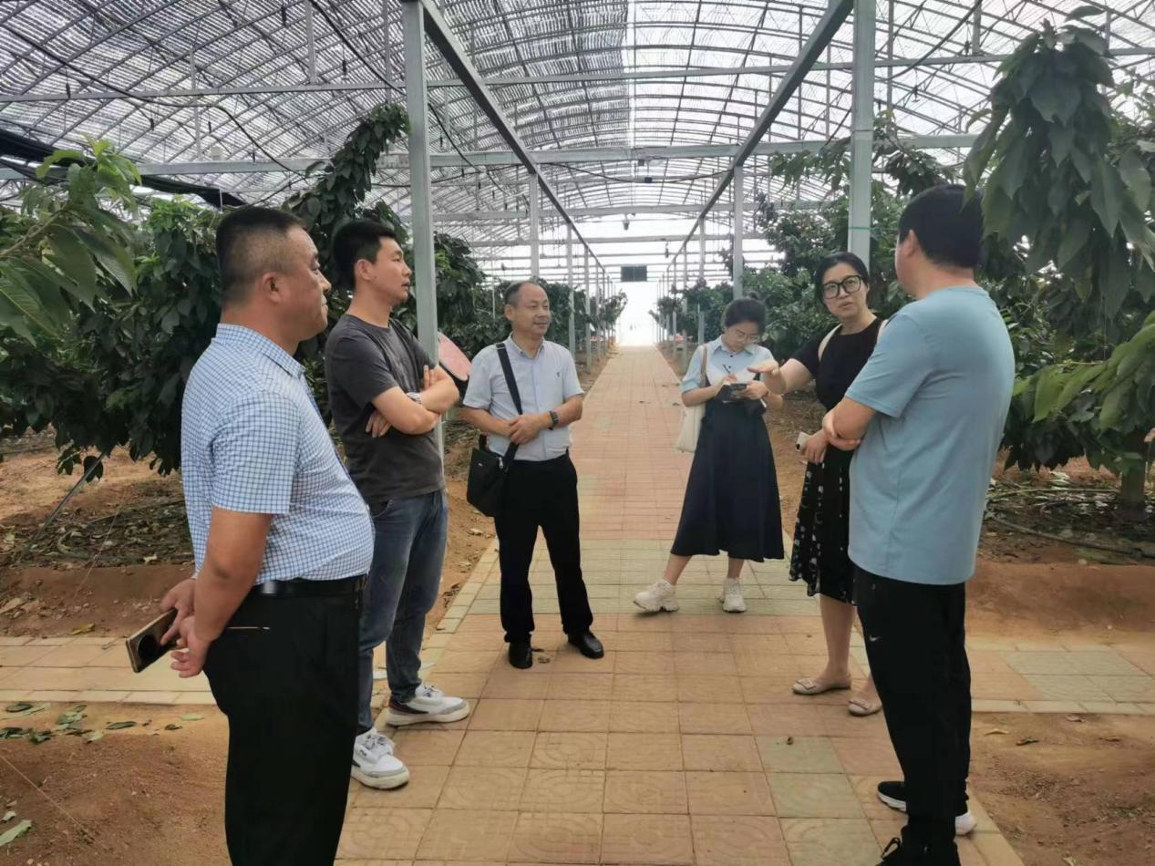 到田间地头寻找答案——“双百调研”课题组赴洋河镇乡村振兴示范区调研 到田间地头寻找答案——“双百调研”课题组赴洋河镇乡村振兴示范区调研