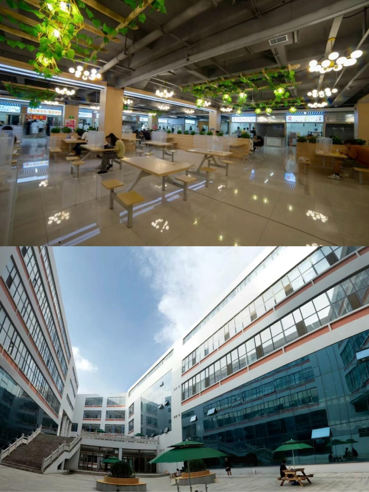 我们获评“山东省绿色学校”称号 我们获评“山东省绿色学校”称号